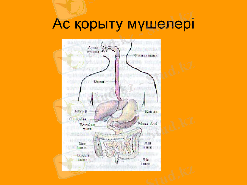 Slide 23
