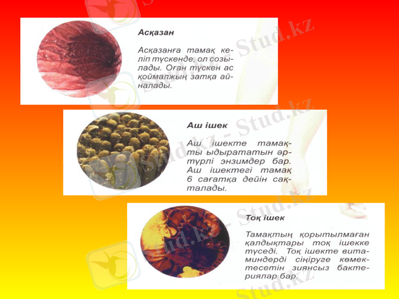 Slide 25