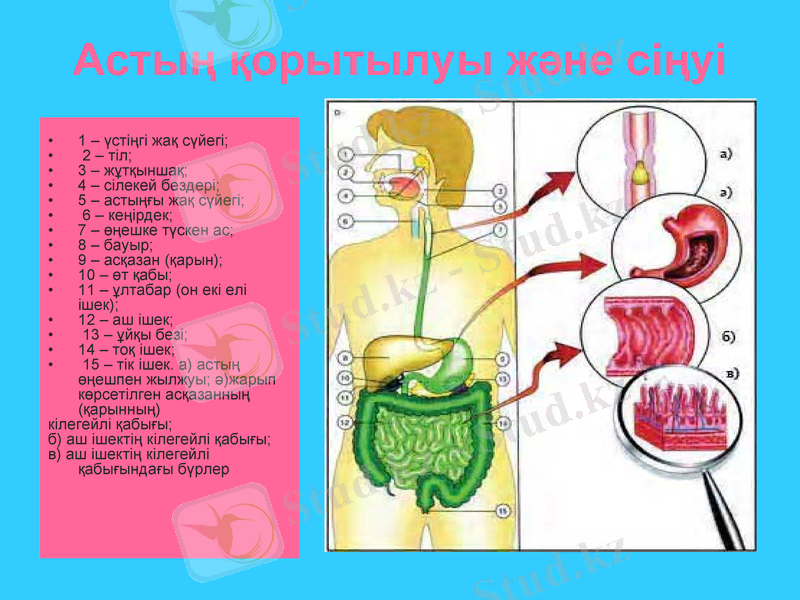 Slide 26