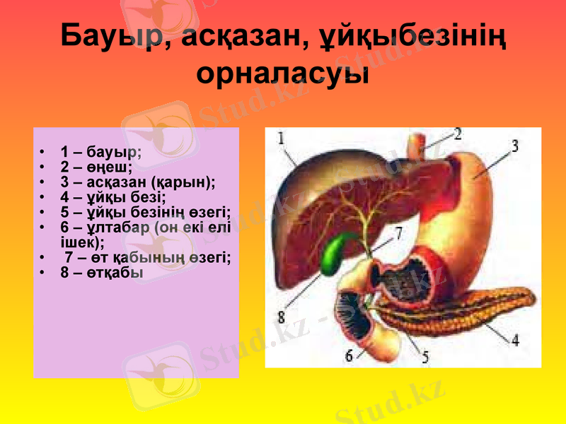 Slide 28