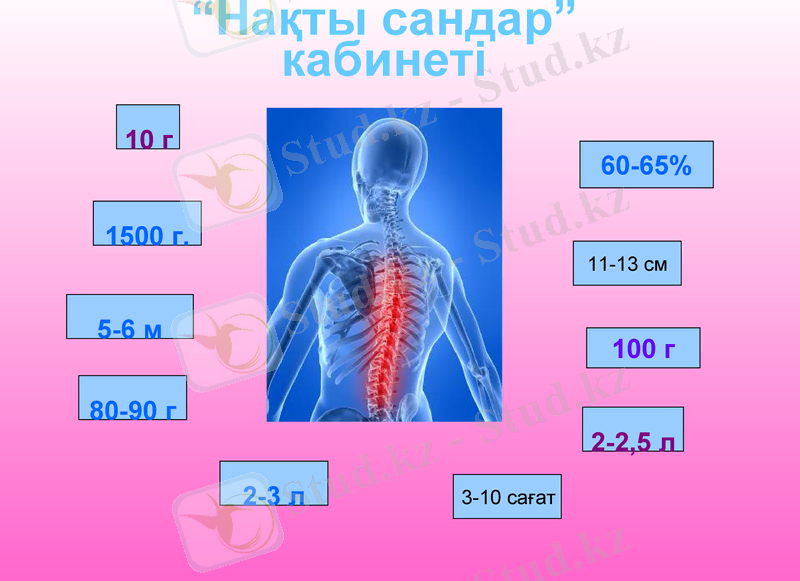Slide 30