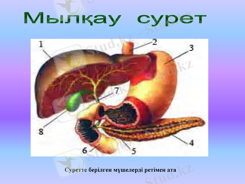 Slide 31