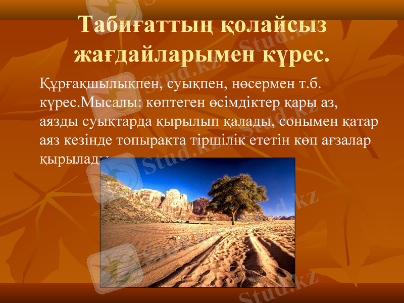 Slide 10