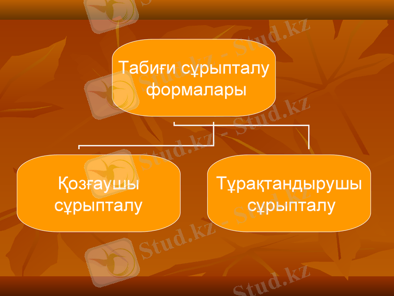 Slide 11