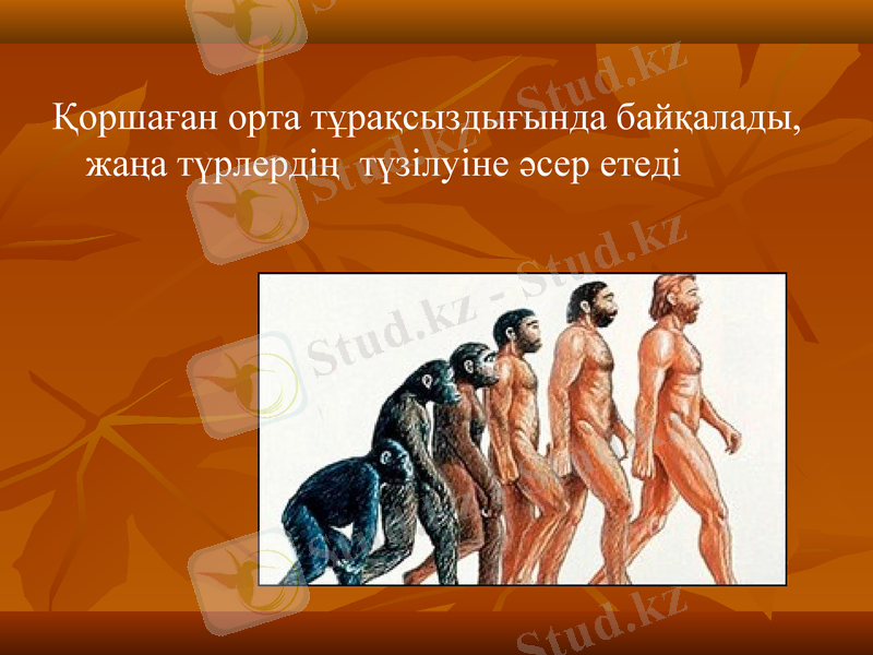 Slide 12