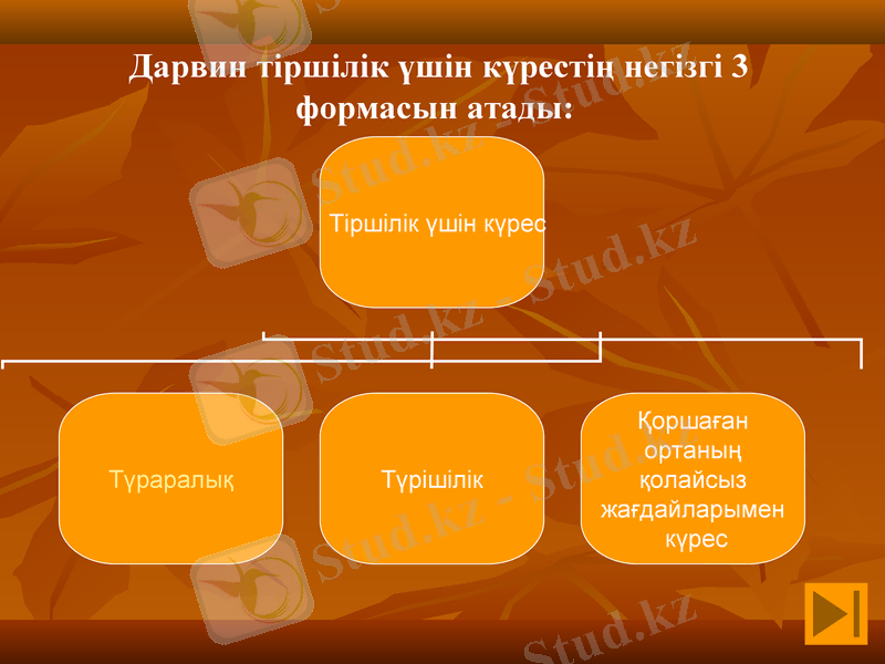 Slide 7