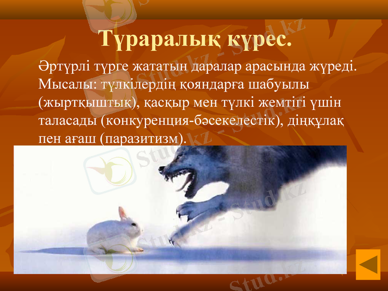 Slide 8