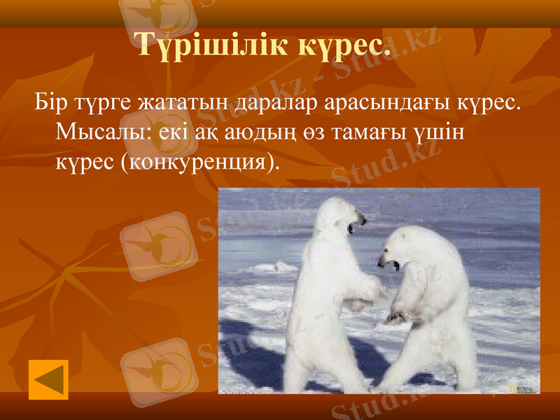 Slide 9