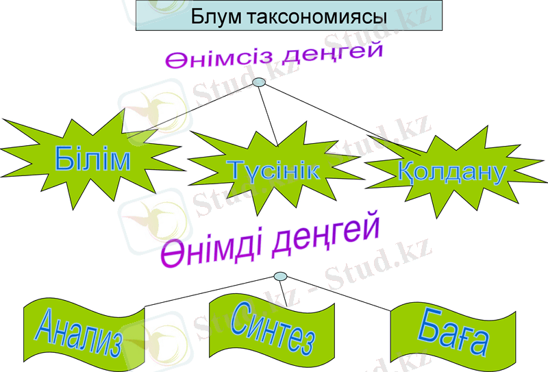 Slide 11