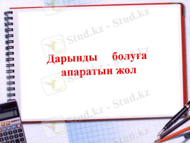 Slide 19
