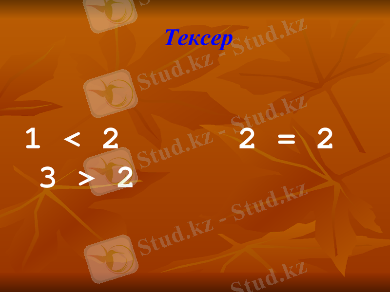 Slide 5