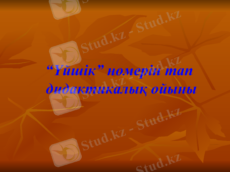 Slide 6