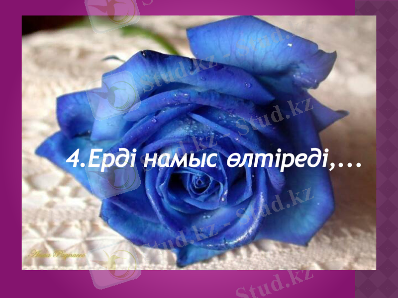 Slide 10