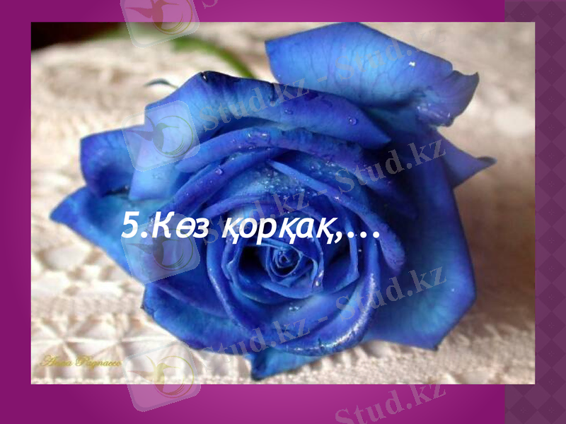 Slide 11