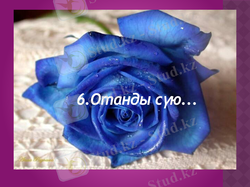 Slide 12