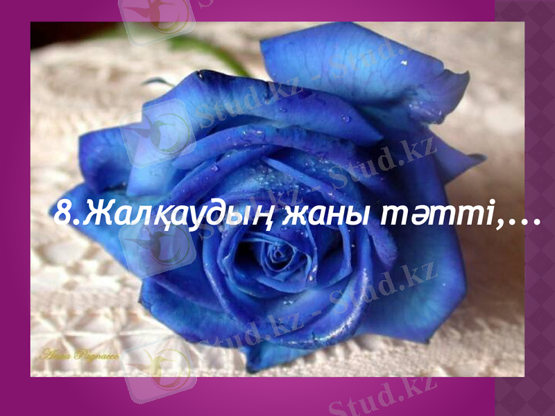Slide 14