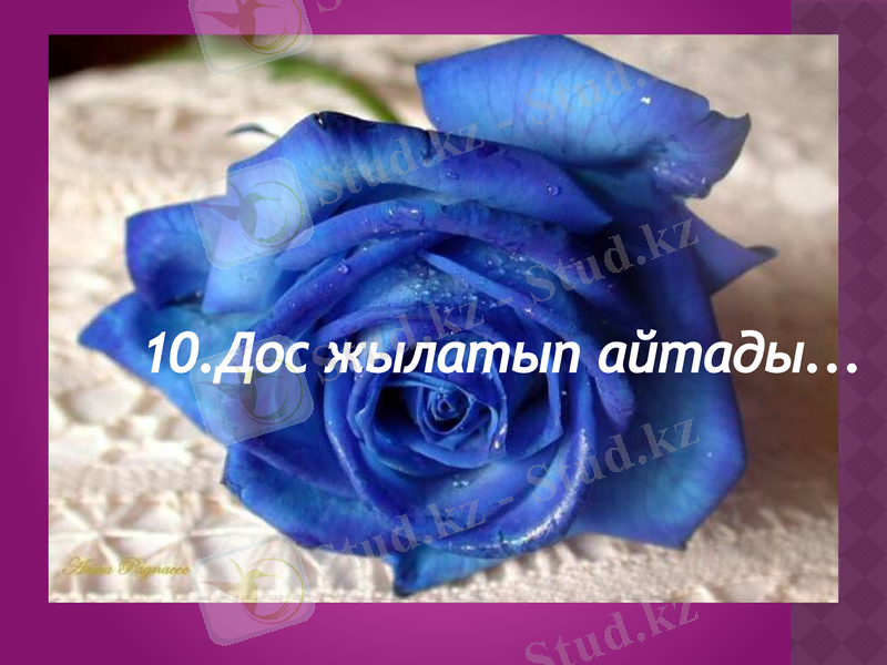 Slide 16