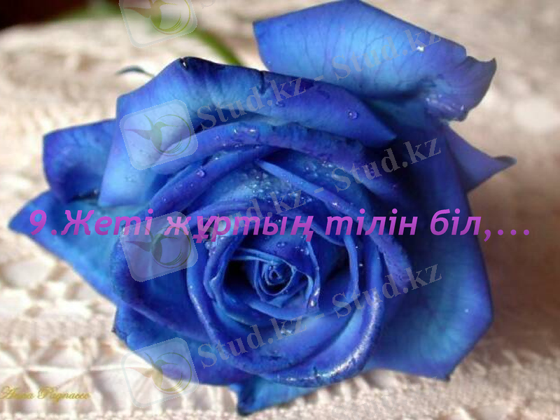 Slide 25