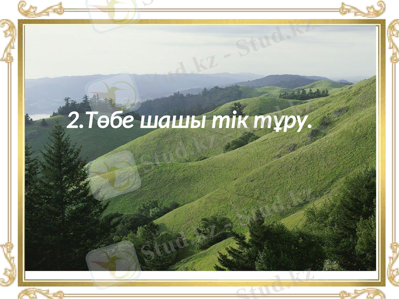 Slide 29
