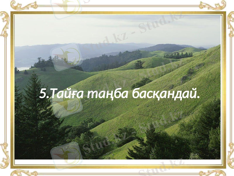 Slide 32