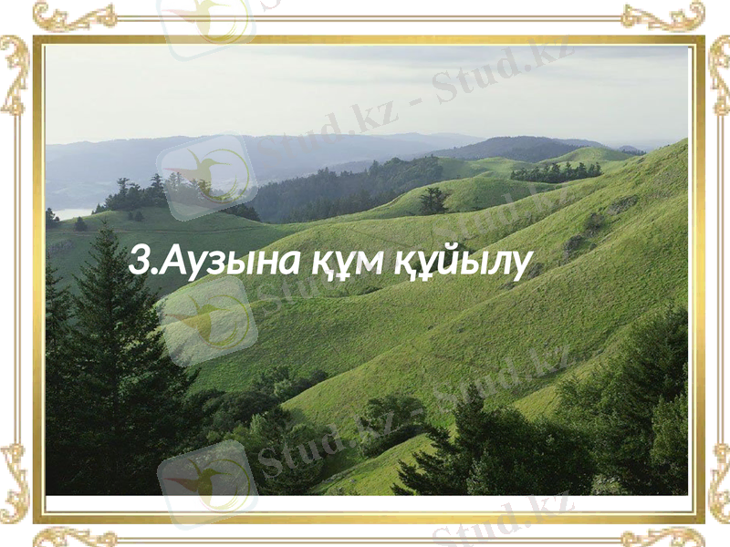 Slide 40