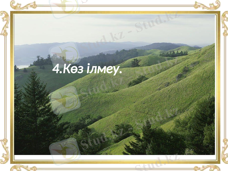 Slide 41