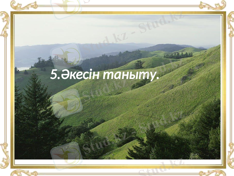 Slide 42