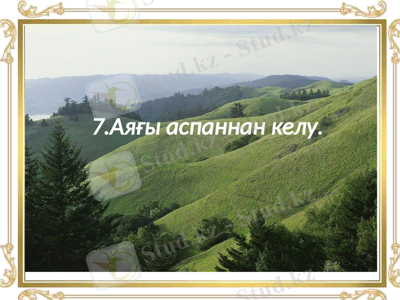 Slide 44