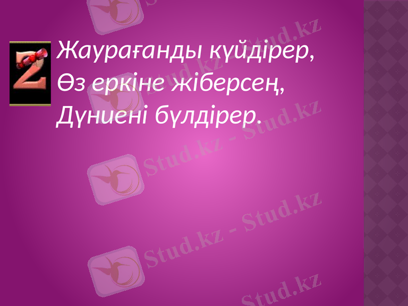 Slide 50