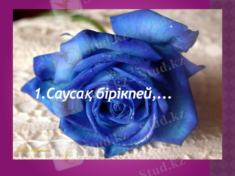 Slide 7