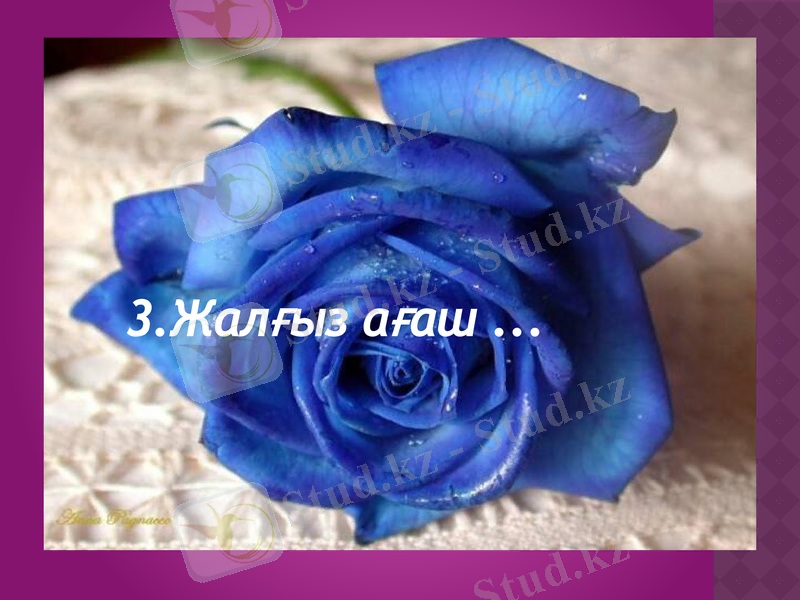 Slide 9