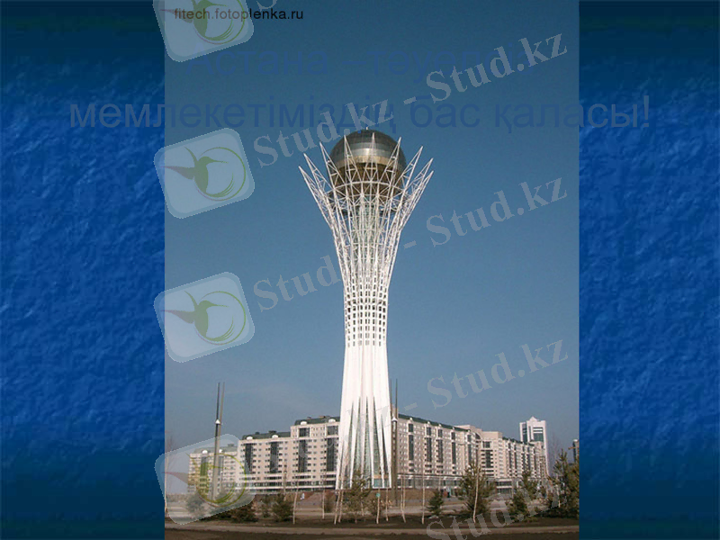 Slide 1