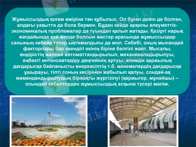 Slide 11