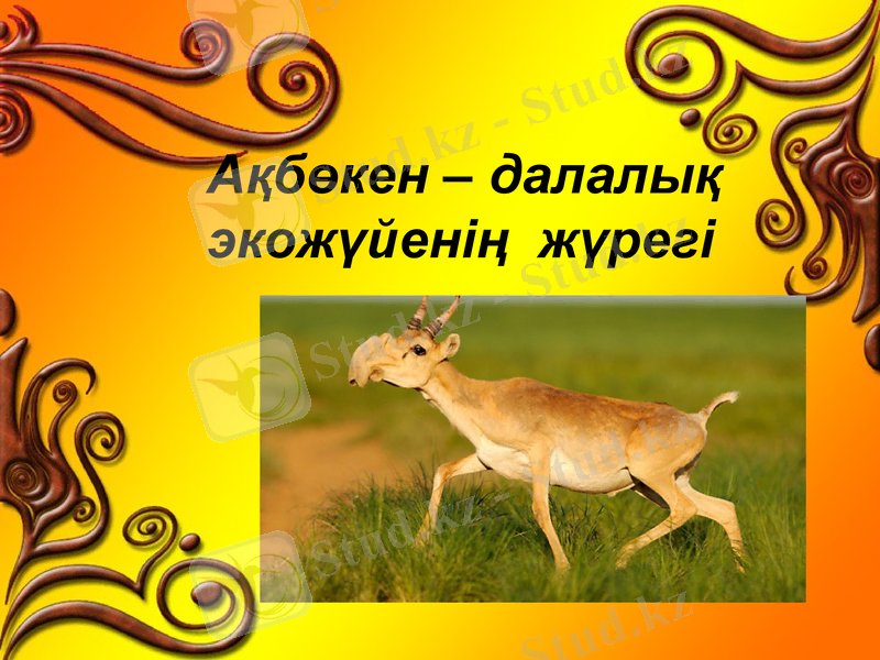 Slide 1