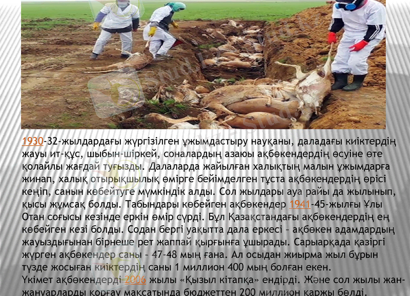 Slide 6
