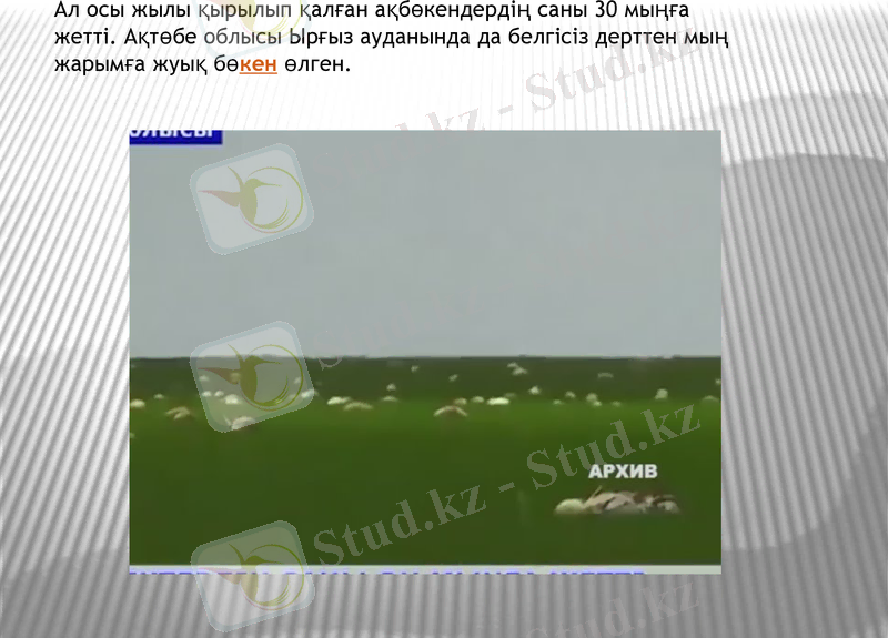 Slide 7