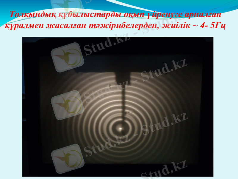 Slide 11
