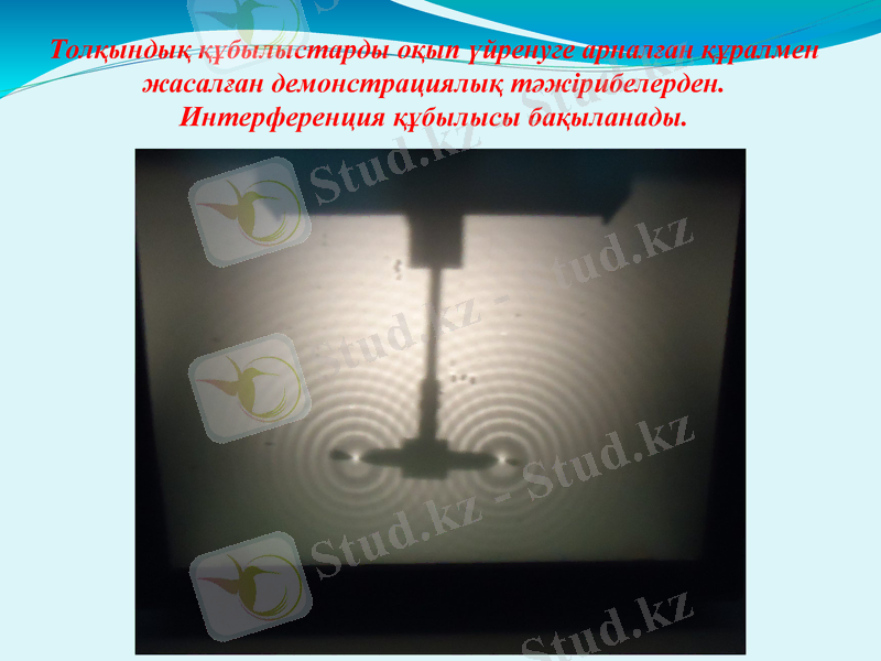Slide 12