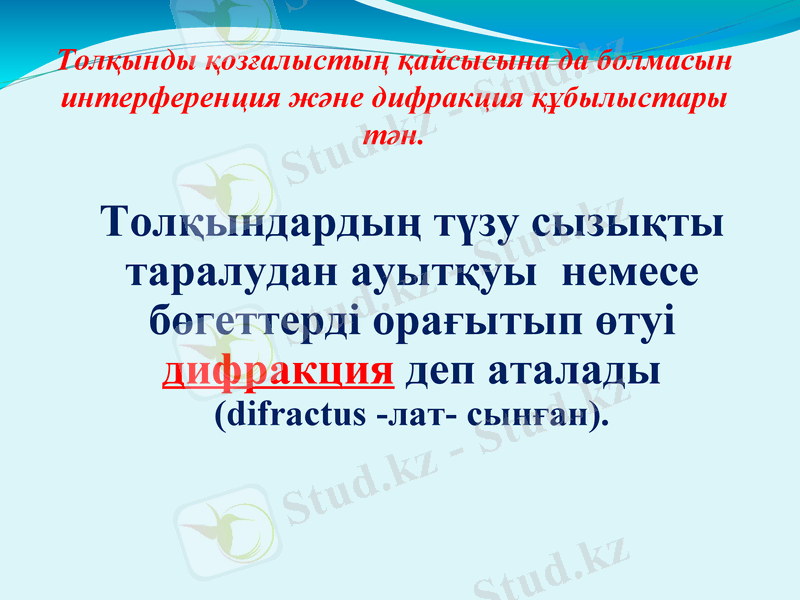 Slide 13
