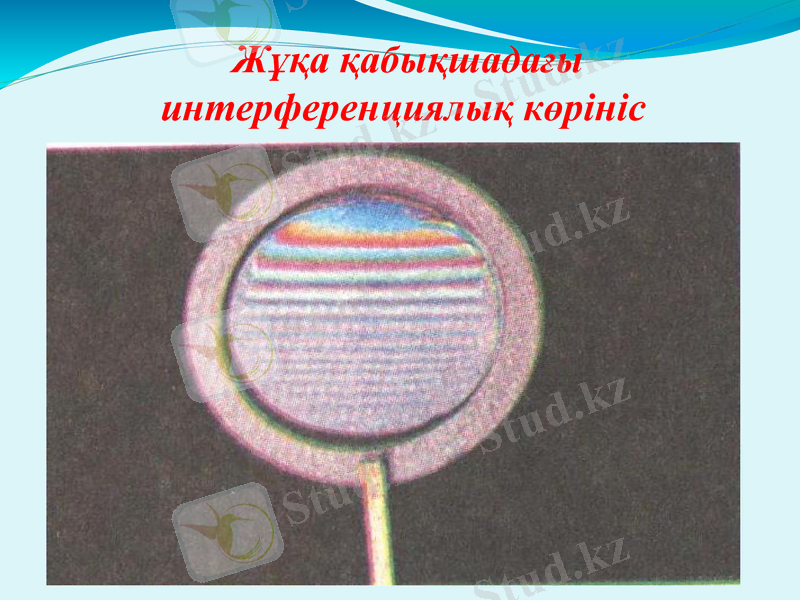 Slide 18