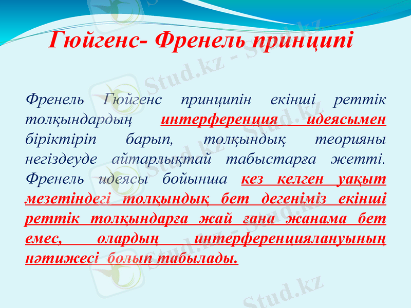 Slide 8