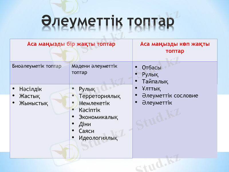 Slide 7