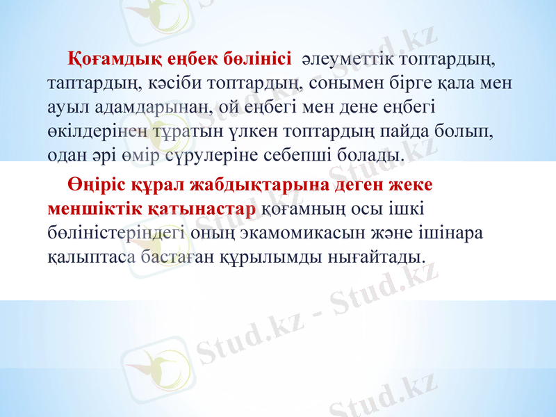 Slide 9