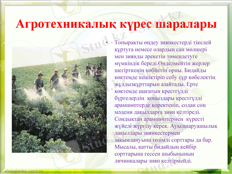 Slide 4