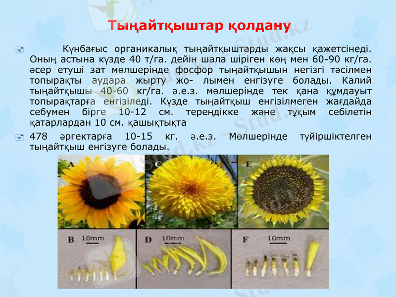 Slide 10