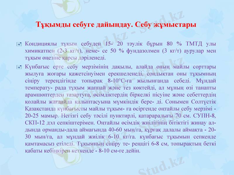 Slide 11