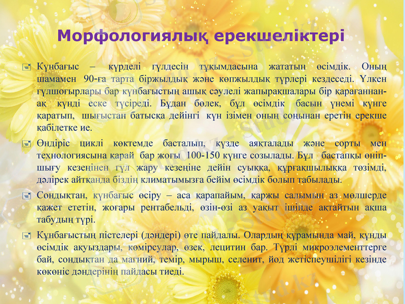 Slide 3