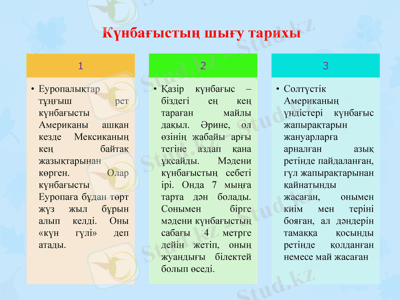 Slide 5