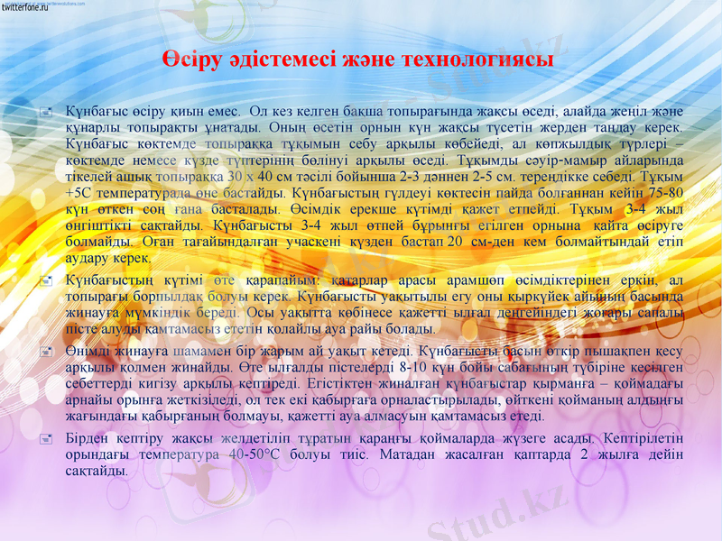 Slide 7