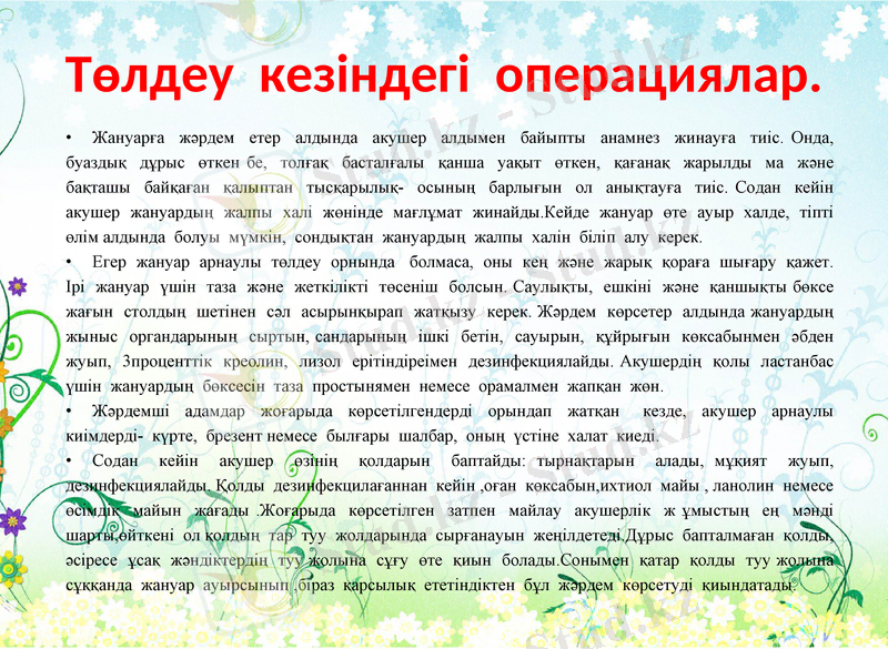 Slide 10